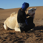 Trekking mit Familie